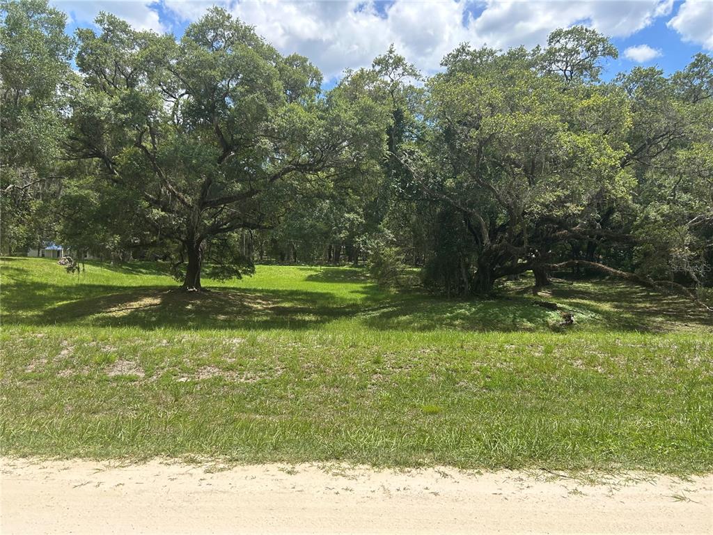 111 Southwest Sw Lane Dunnellon, FL 34432 - Photo 6 of 6