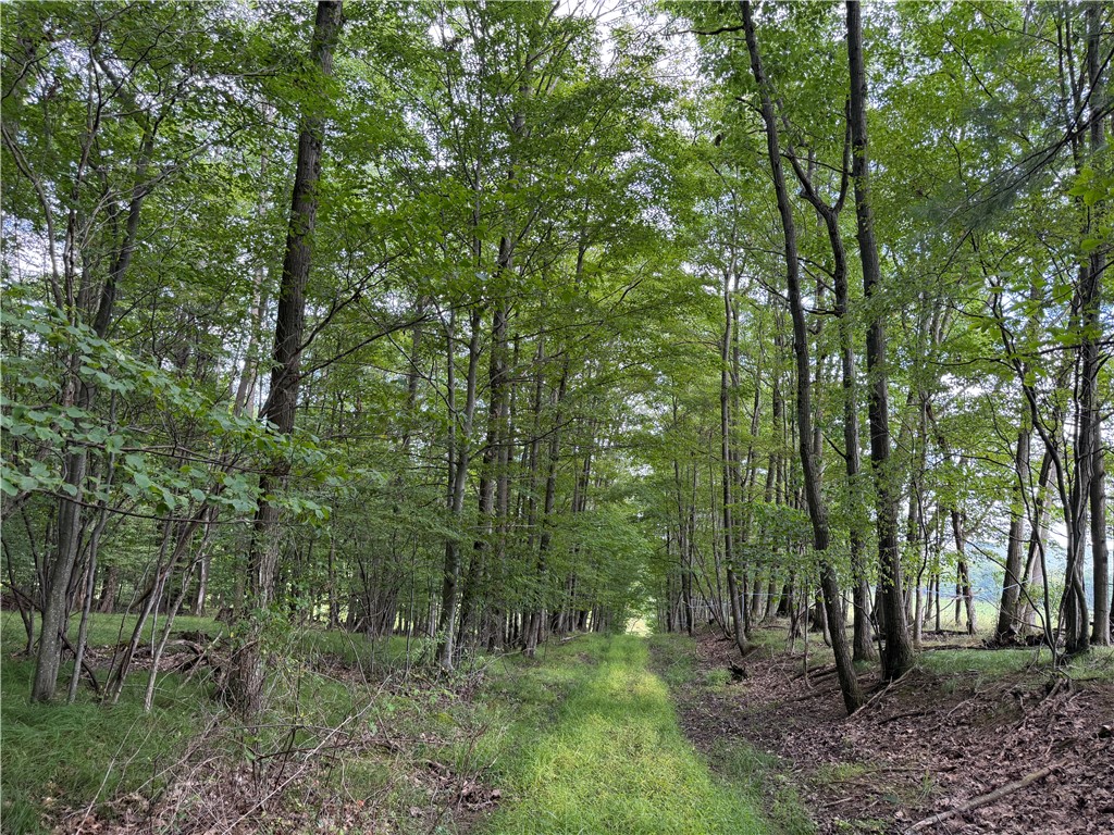Vl Barney Road North Fillmore, NY 14735 - Photo 28 of 50 Gallery Image 28