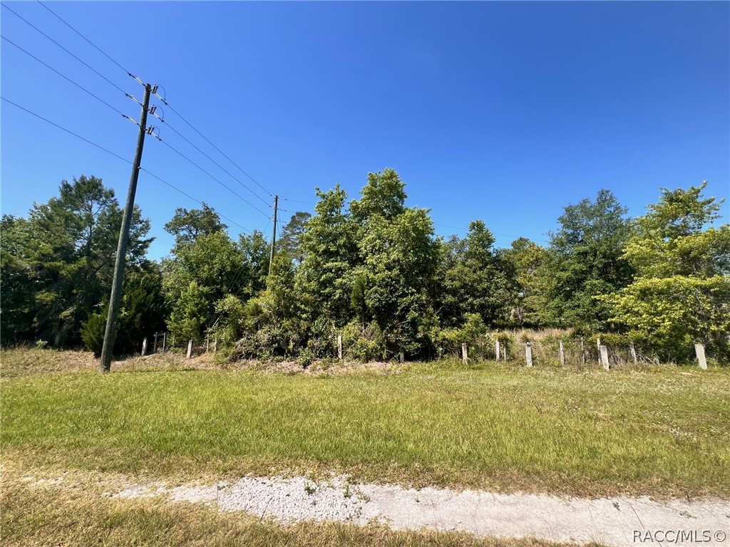 4956 East Posselt Drive Hernando, FL 34442 - Photo 6 of 10