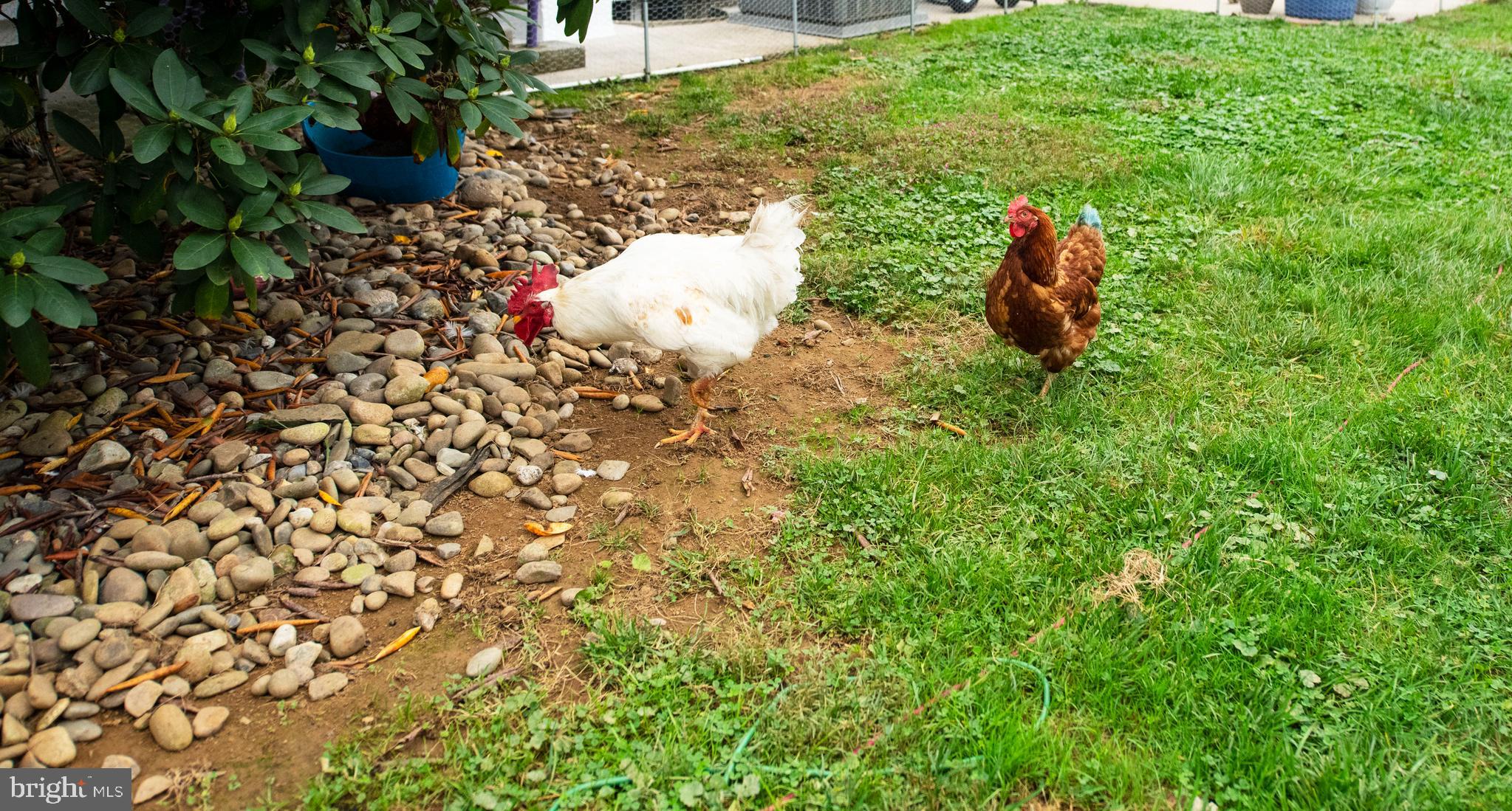 749 Conowingo Road Conowingo, MD 21918 - Photo 40 of 44 Invite Your Pets!