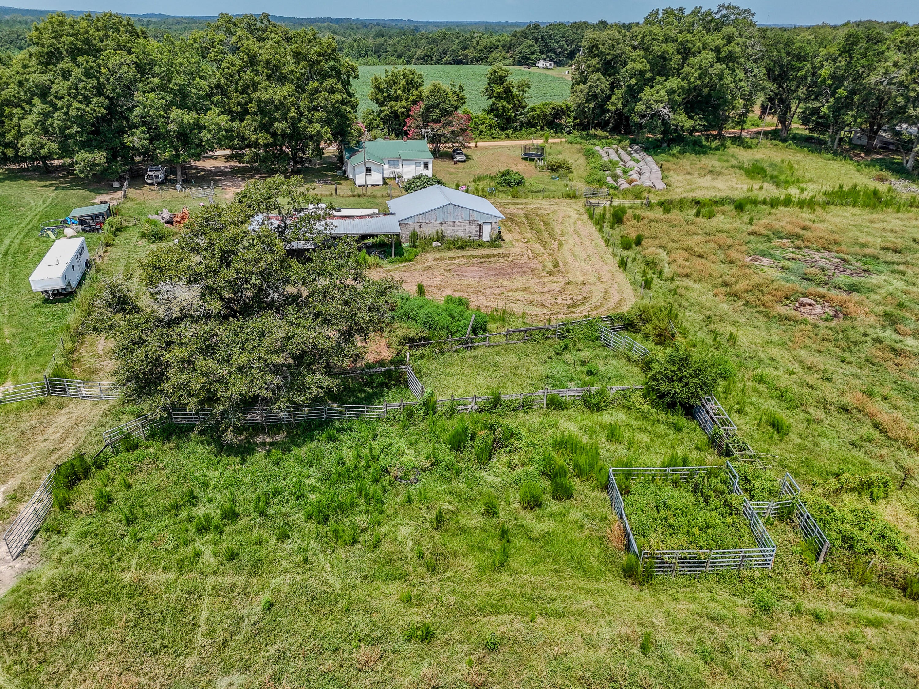 3957 Gopher Ridge Road Samson, AL 36477 - Photo 8 of 25 Gallery Image 8
