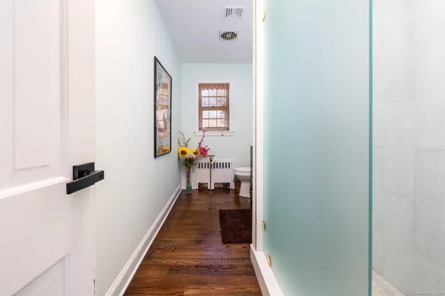 a view of a hallway with wooden floor and a potted plant