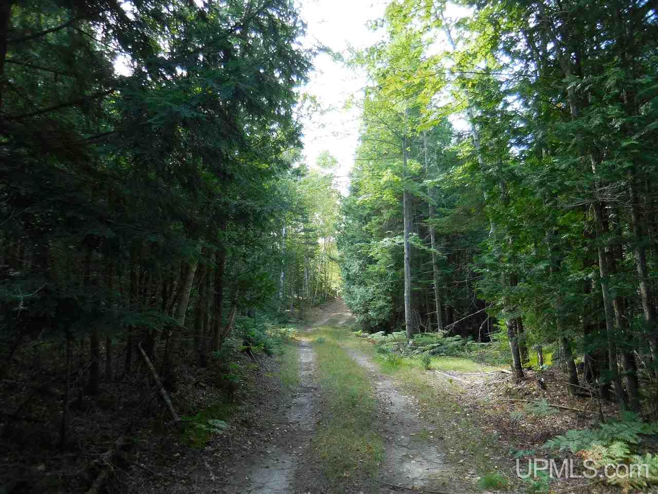 Tbd 60 Acres Off Carlson Road Manistique, MI 49854 - Photo 8 of 8