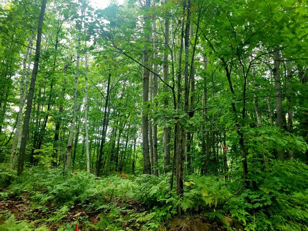 $149,900 | 11-xxx Old Military Road, Bayfield, WI 54814