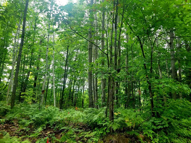 $149,900 | 11-xxx Old Military Road, Bayfield, WI 54814