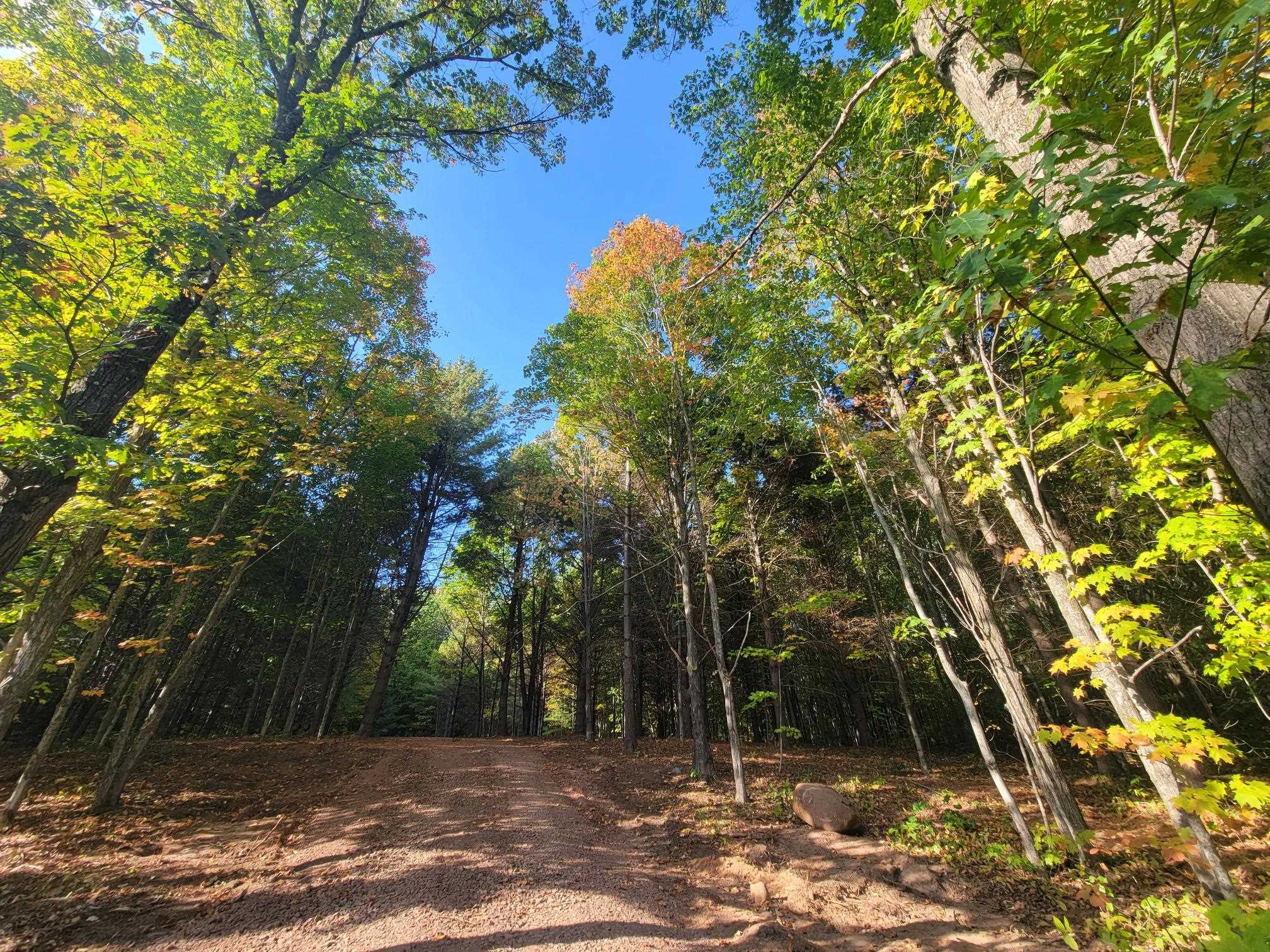 11-xxx Old Military Road Bayfield, WI 54814 - Photo 12 of 19 View of dirt / gravel road featuring a wooded view