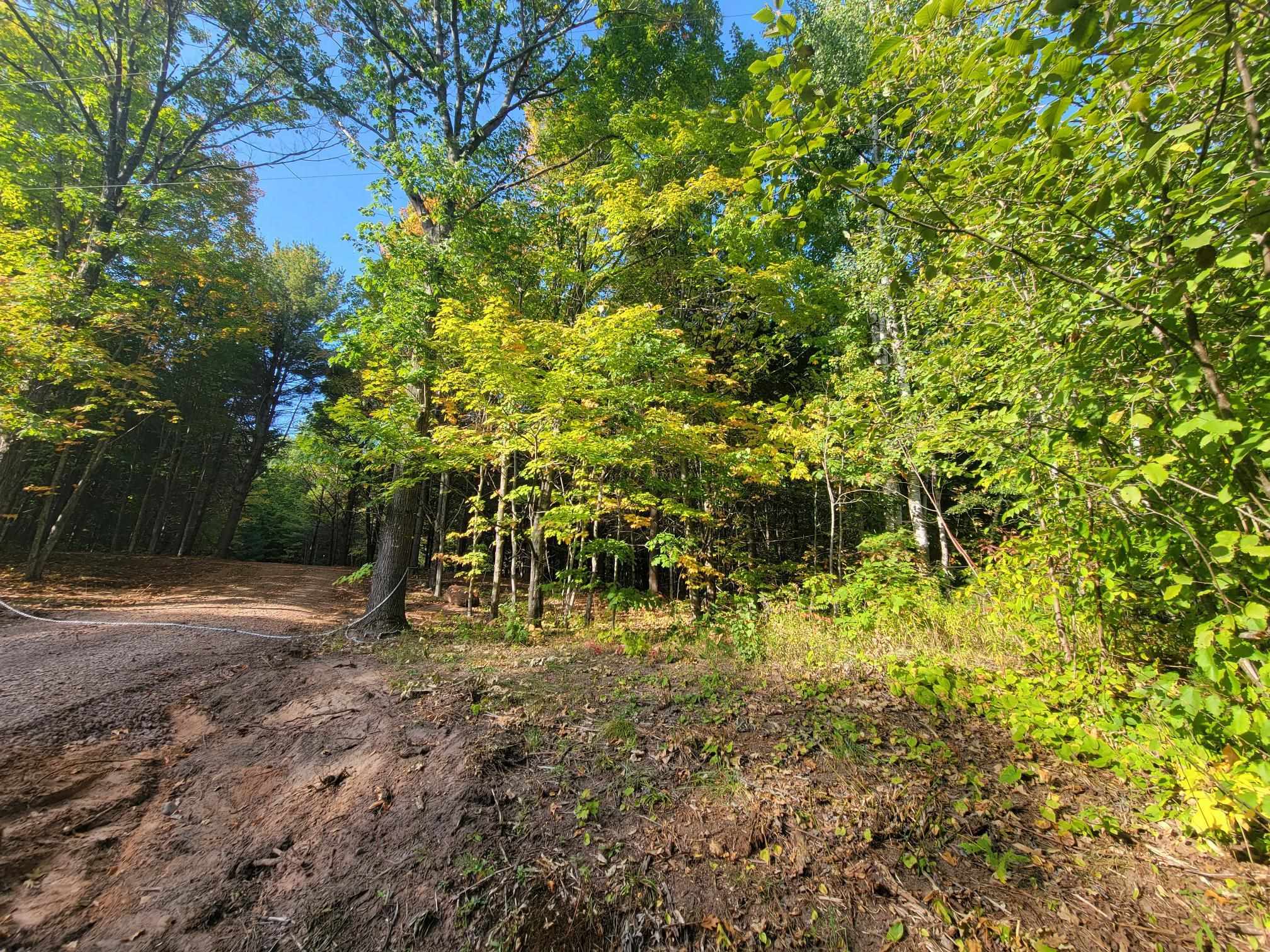 11-xxx Old Military Road Bayfield, WI 54814 - Photo 15 of 19 View of wooded area