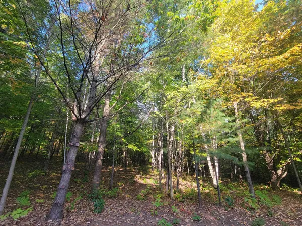 $149,900 | 11-xxx Old Military Road, Bayfield, WI 54814