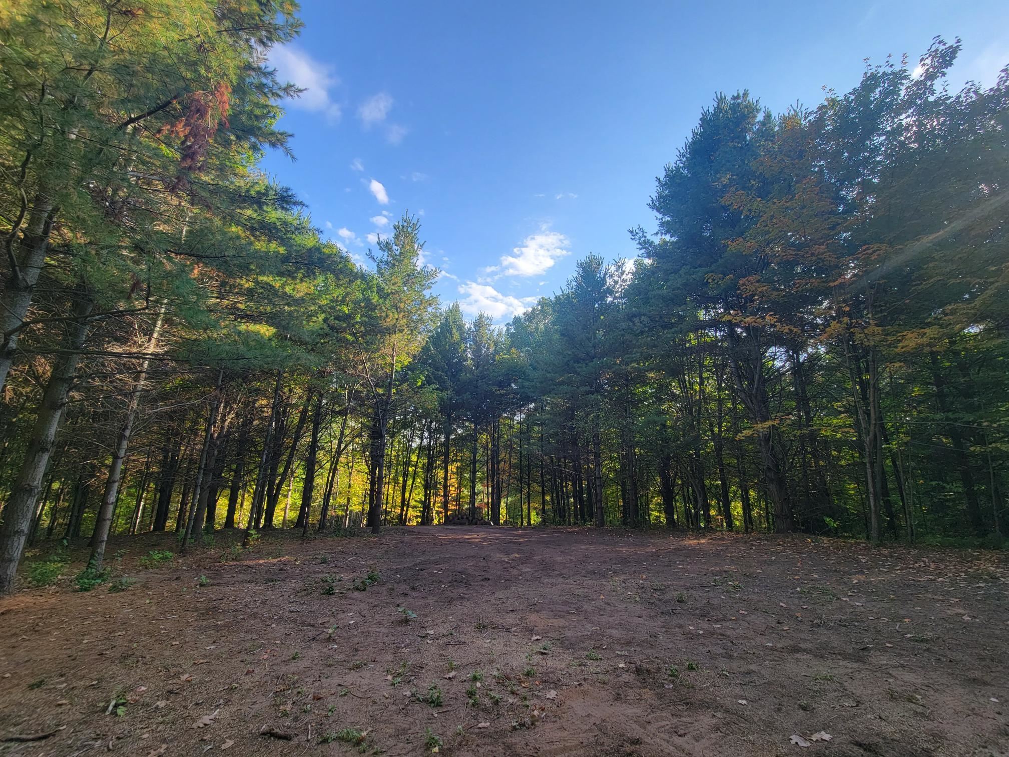 11-xxx Old Military Road Bayfield, WI 54814 - Photo 19 of 19 View of woods