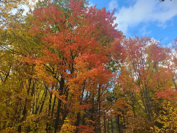 $149,900 | 11-xxx Old Military Road, Bayfield, WI 54814