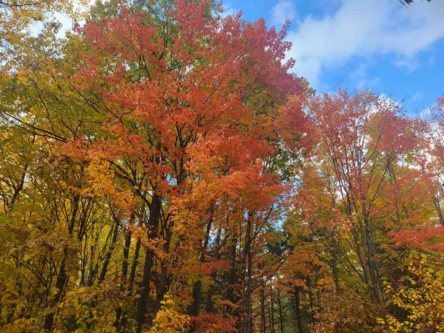 $149,900 | 11-xxx Old Military Road, Bayfield, WI 54814