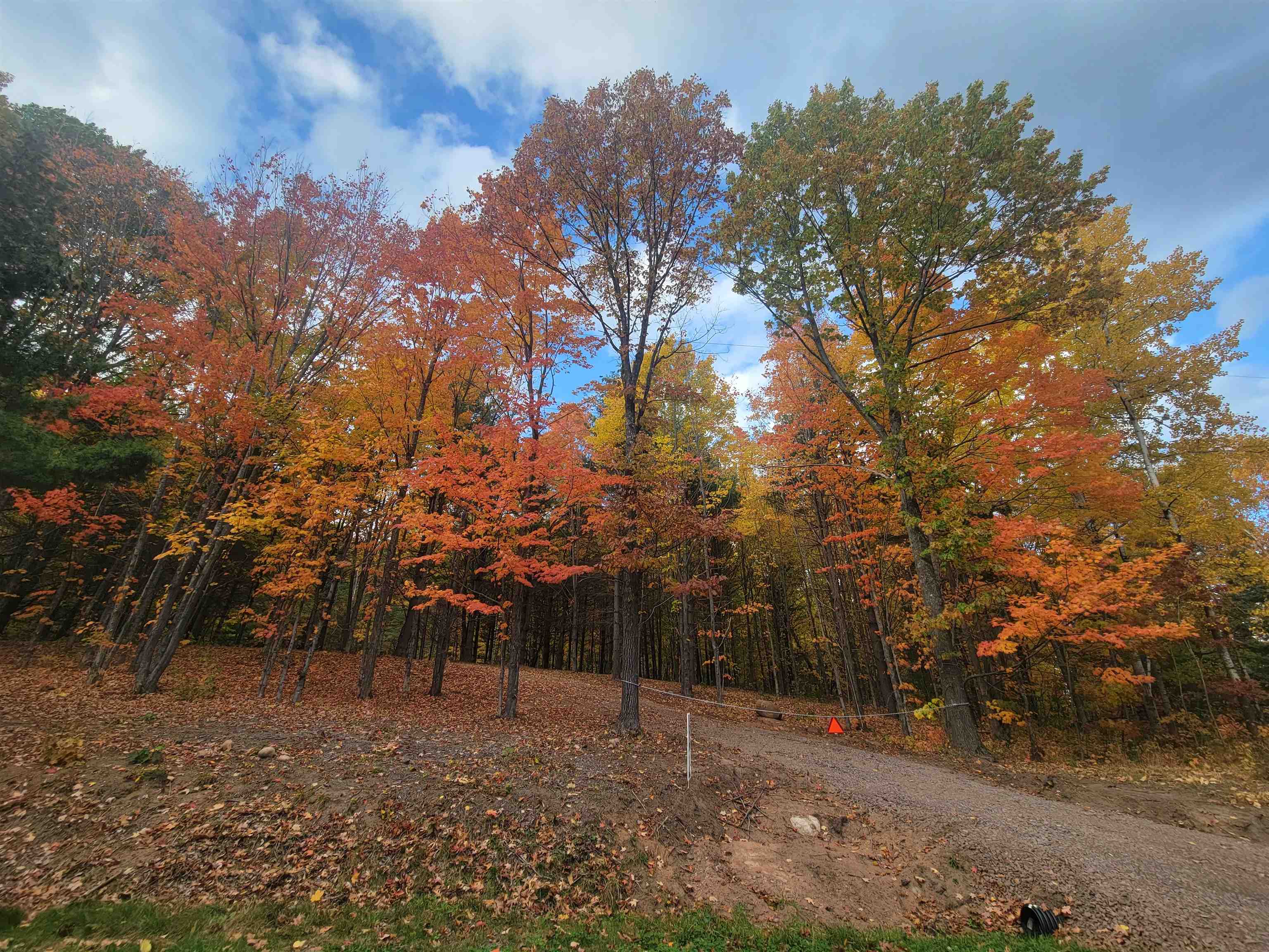 11-xxx Old Military Road Bayfield, WI 54814 - Photo 4 of 19 View of wooded area
