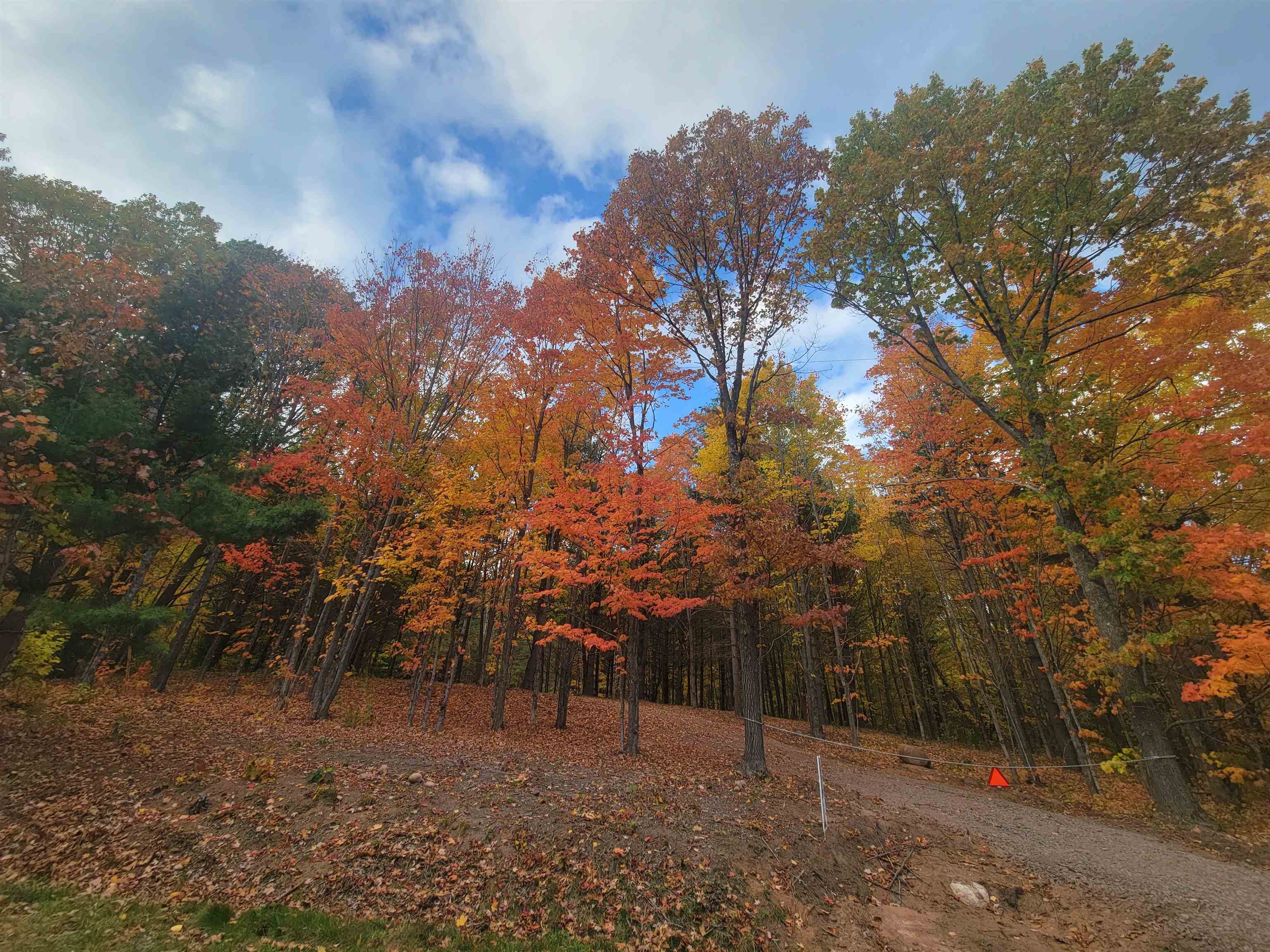 11-xxx Old Military Road Bayfield, WI 54814 - Photo 5 of 19 View of yard with a view of trees