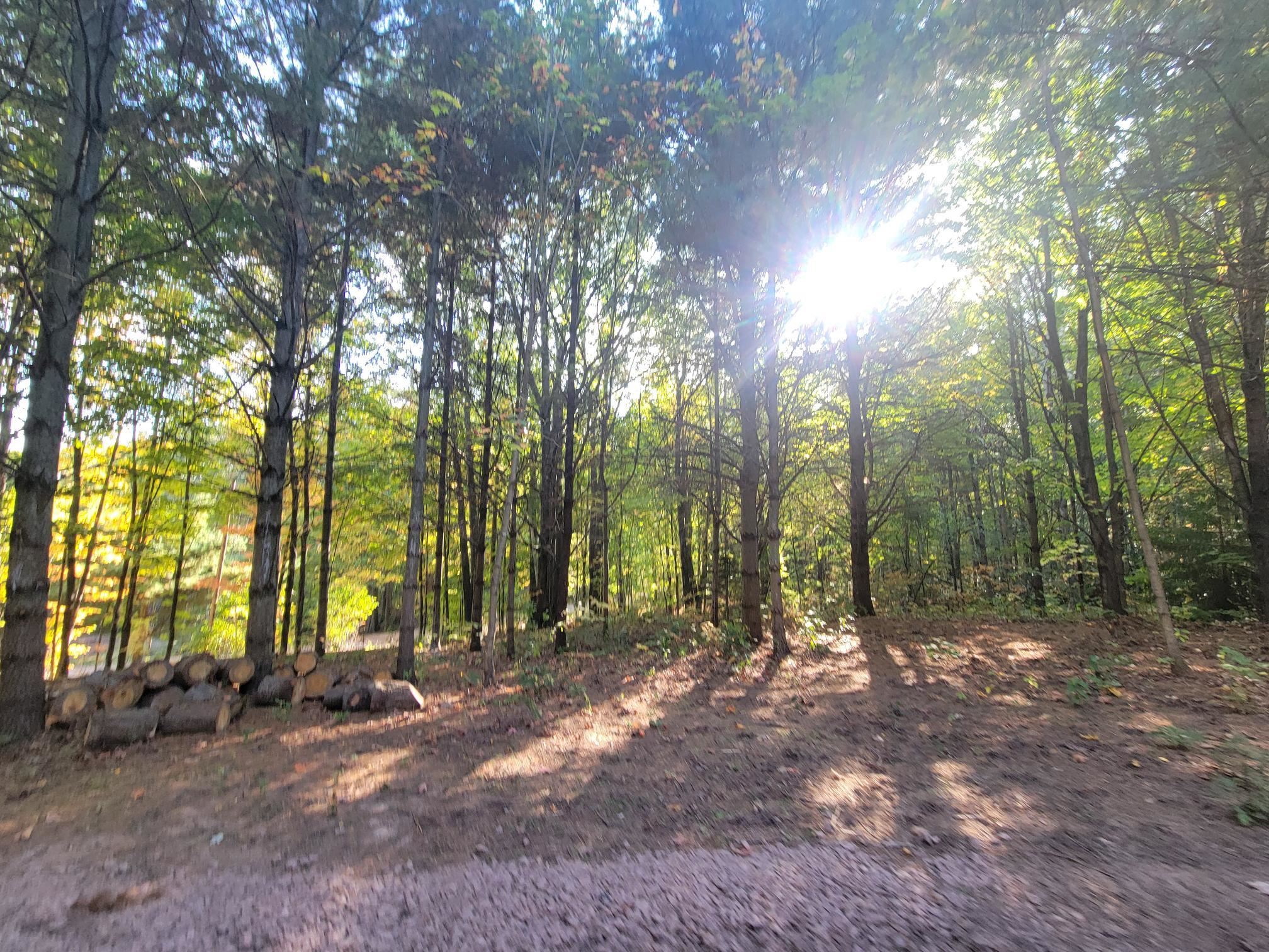 11-xxx Old Military Road Bayfield, WI 54814 - Photo 6 of 19 View of woods