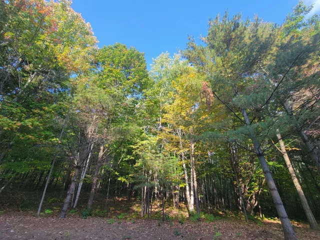 $149,900 | 11-xxx Old Military Road, Bayfield, WI 54814