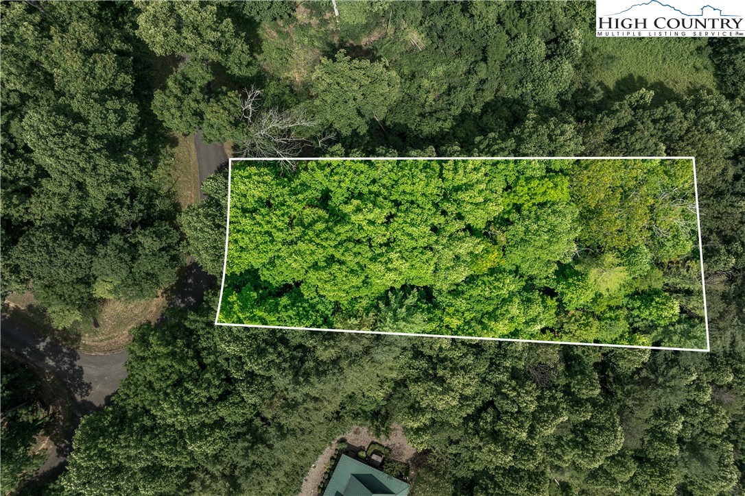 Lot 12 Lake Ridge Butler, TN 37640 - Photo 1 of 22