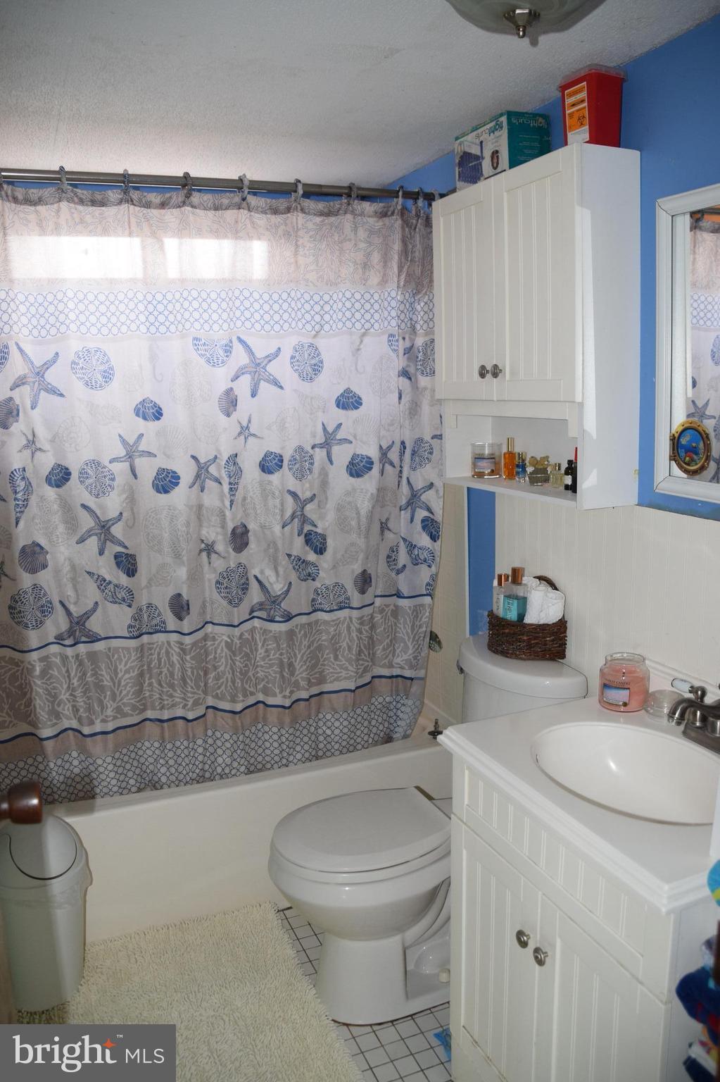 12510 Ridgely Road Ridgely, MD 21660 - Photo 24 of 30 HALLWAY BATHROOM. WINDOW NEEDS TO BE SEALED.