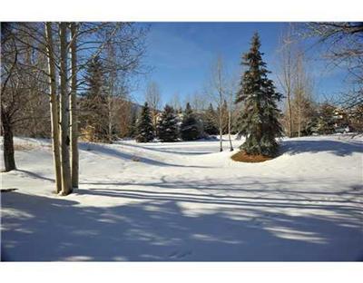 311 June Creek Road, Unit B Edwards, CO 81632 - Photo 19 of 20 Additional Photo