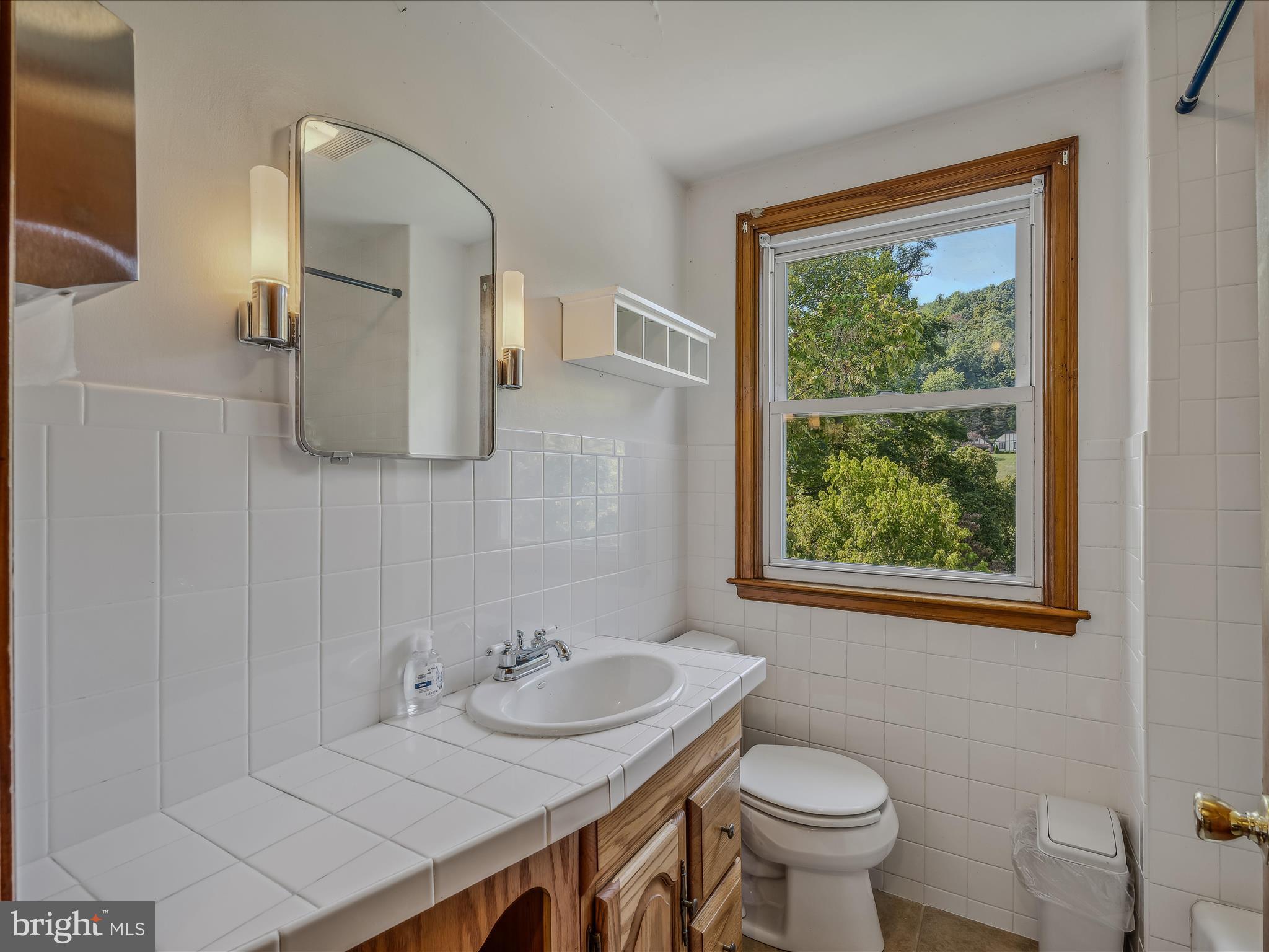 1302 Valley Road Berkeley Springs, WV 25411 - Photo 22 of 45 Main Bath