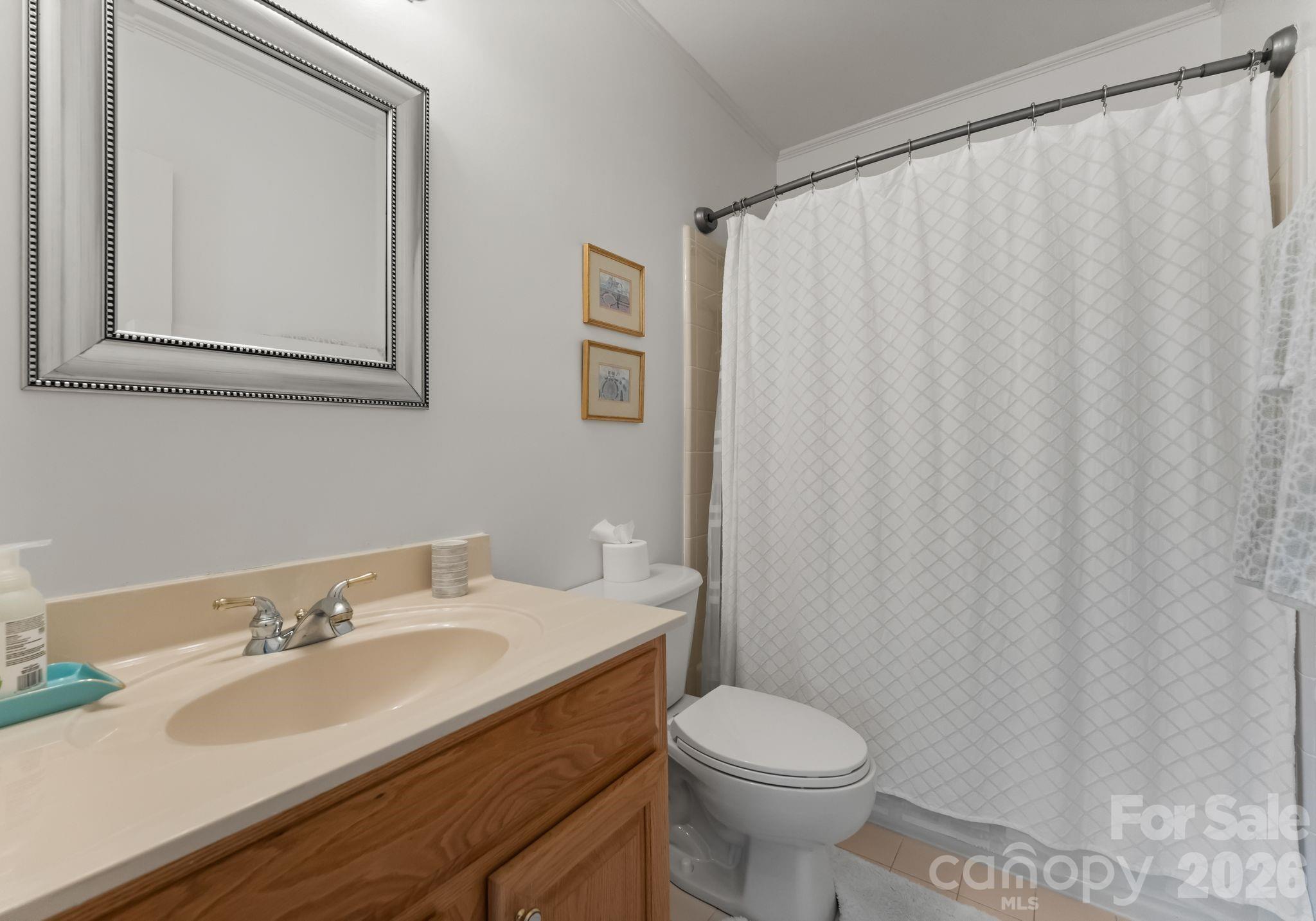 15705 Knox Hill Road Huntersville, NC 28078 - Photo 41 of 48 a bathroom with a granite countertop sink and a toilet