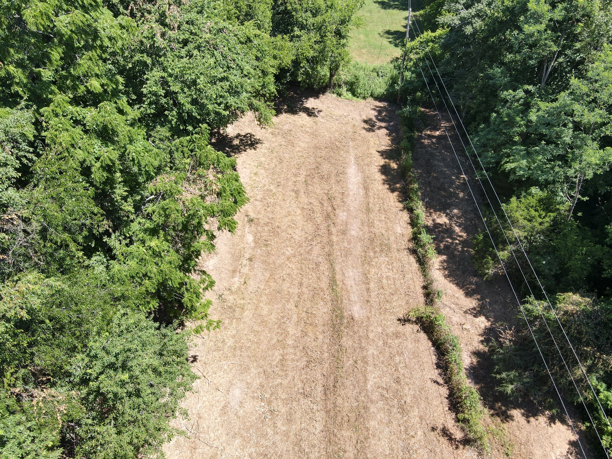 0 Gossburg Road Beechgrove, TN 37018 - Photo 2 of 4 a view of a yard with plants