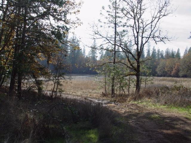1760 Russell Road Merlin, OR 97532 - Photo 10 of 18 Additional Photo