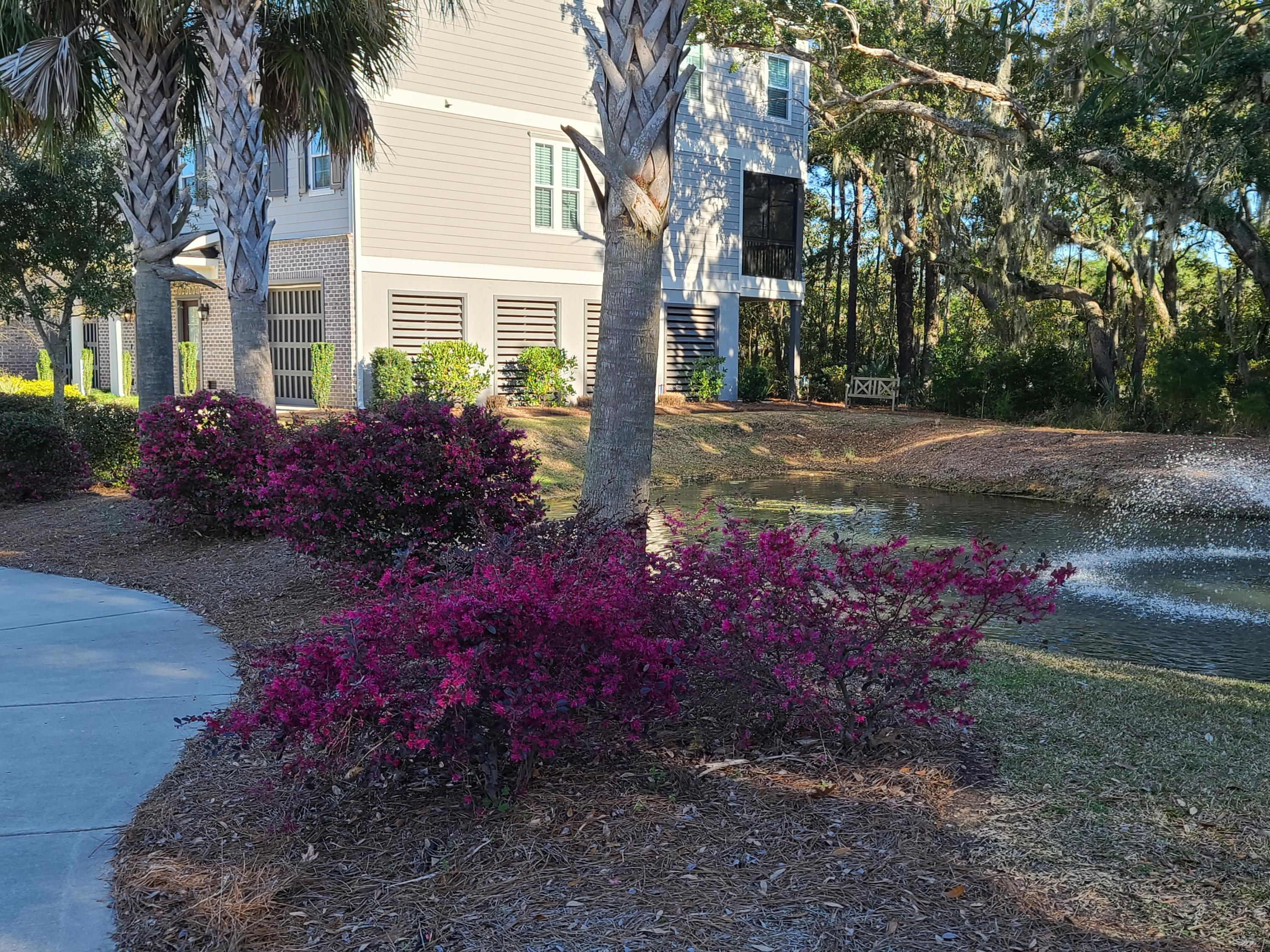 140 Slipper Shell Court Mount Pleasant, SC 29464 - Photo 15 of 25 140 17