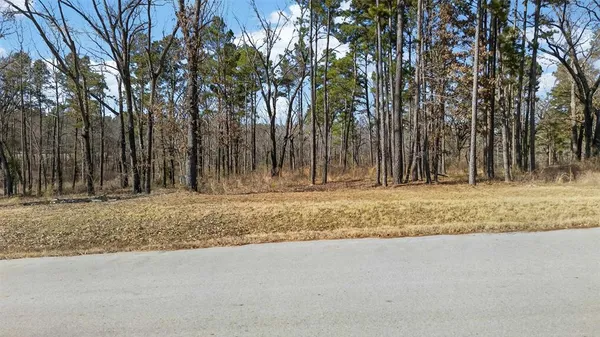 $175,000 | 3200 Shadow Pne Drive, Larue, TX 75770