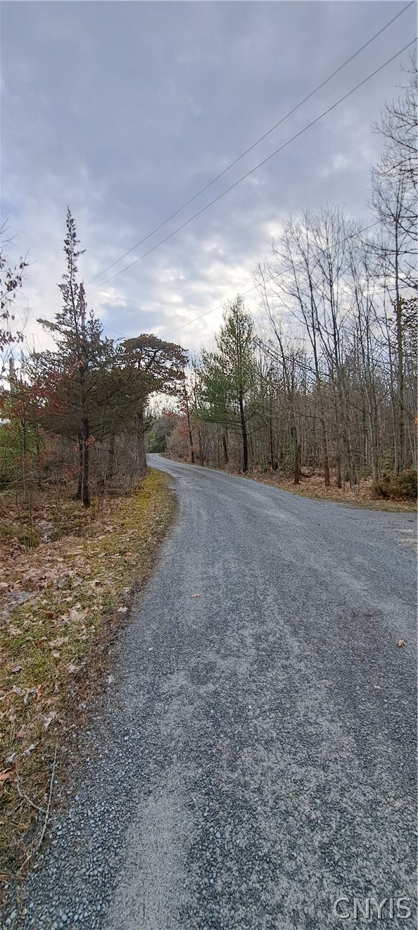 43623 Sweet Point Road Theresa, NY 13679 - Photo 8 of 9