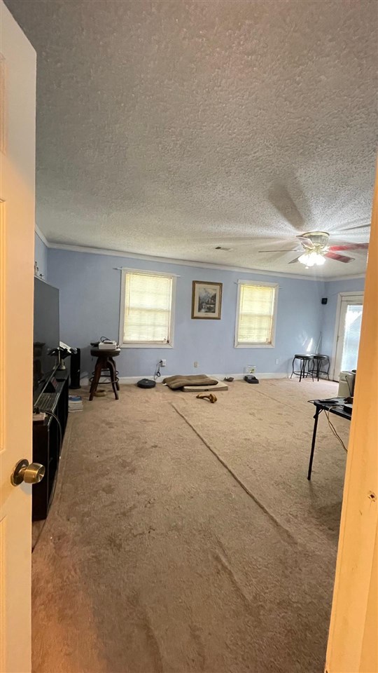 5312 Whitworth Road Memphis, TN 38116 - Photo 9 of 19