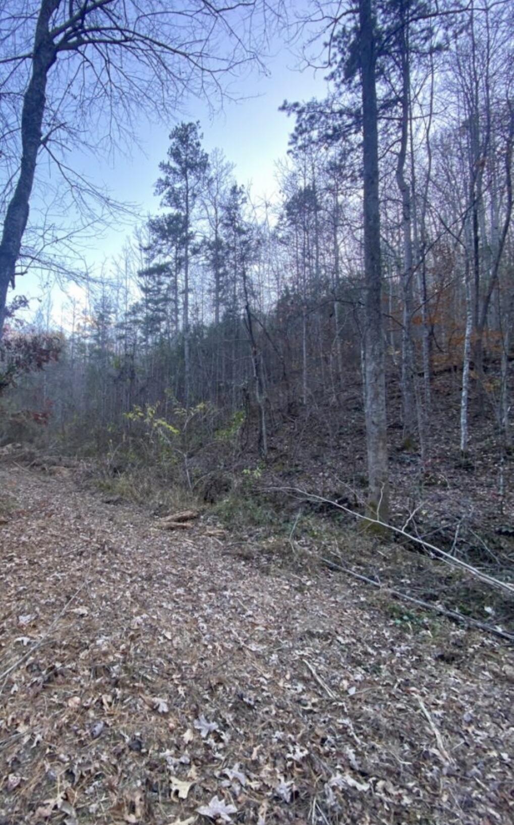 Tract #3 Tract Ridge Annville, KY 40402 - Photo 3 of 20 IMG_0862