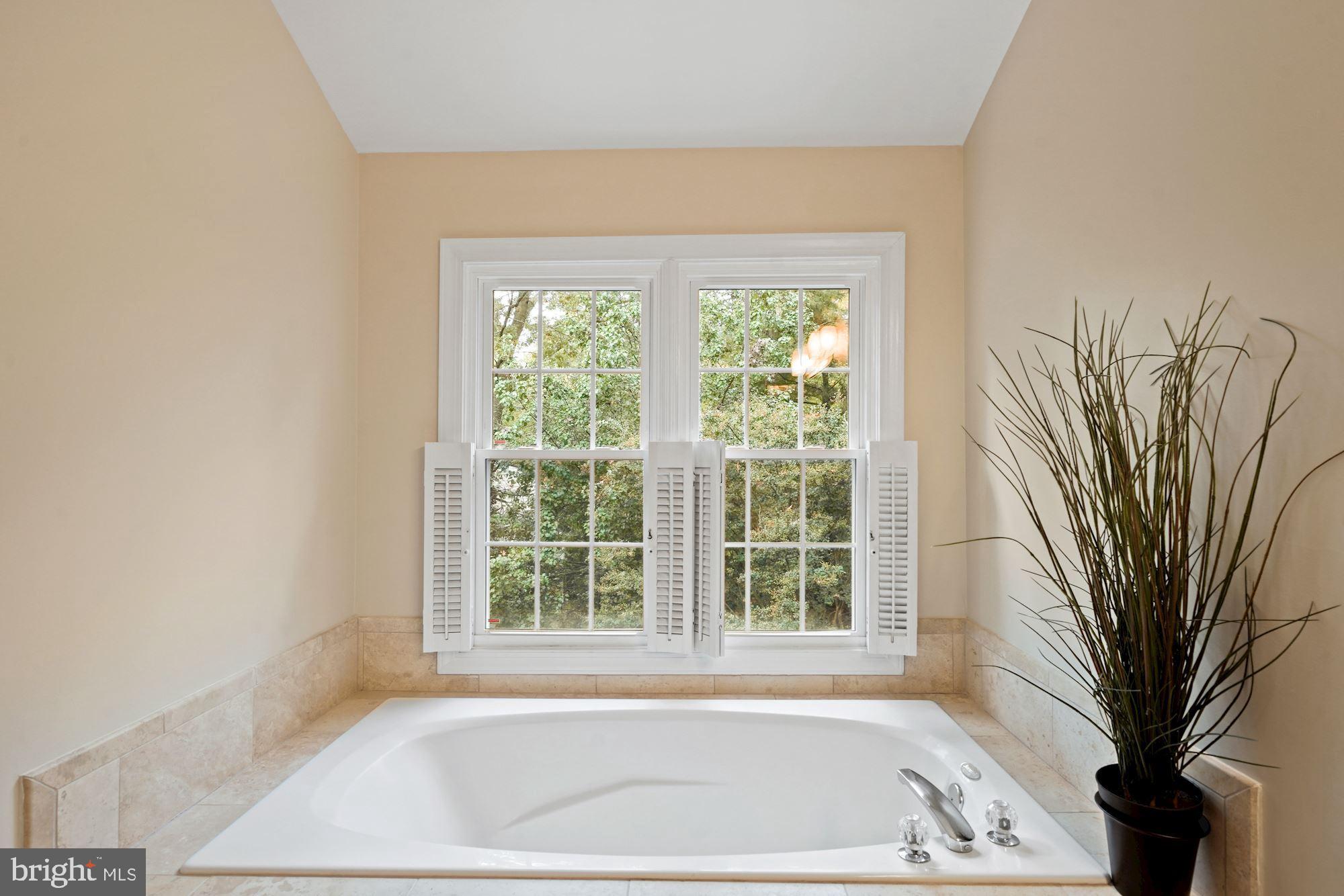123 Roland Court Southwest Vienna, VA 22180 - Photo 22 of 34 Spa sized tub