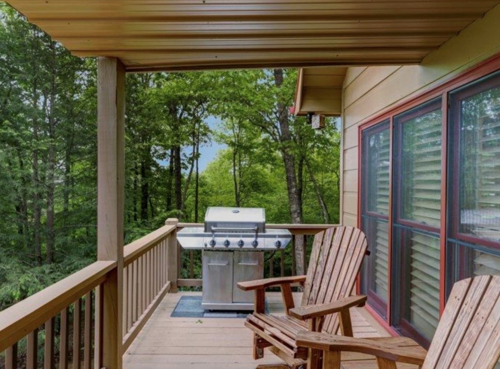 494 Lower Prince Mountain Road Cherry Log, GA 30522 - Photo 22 of 41 Gallery Image 22