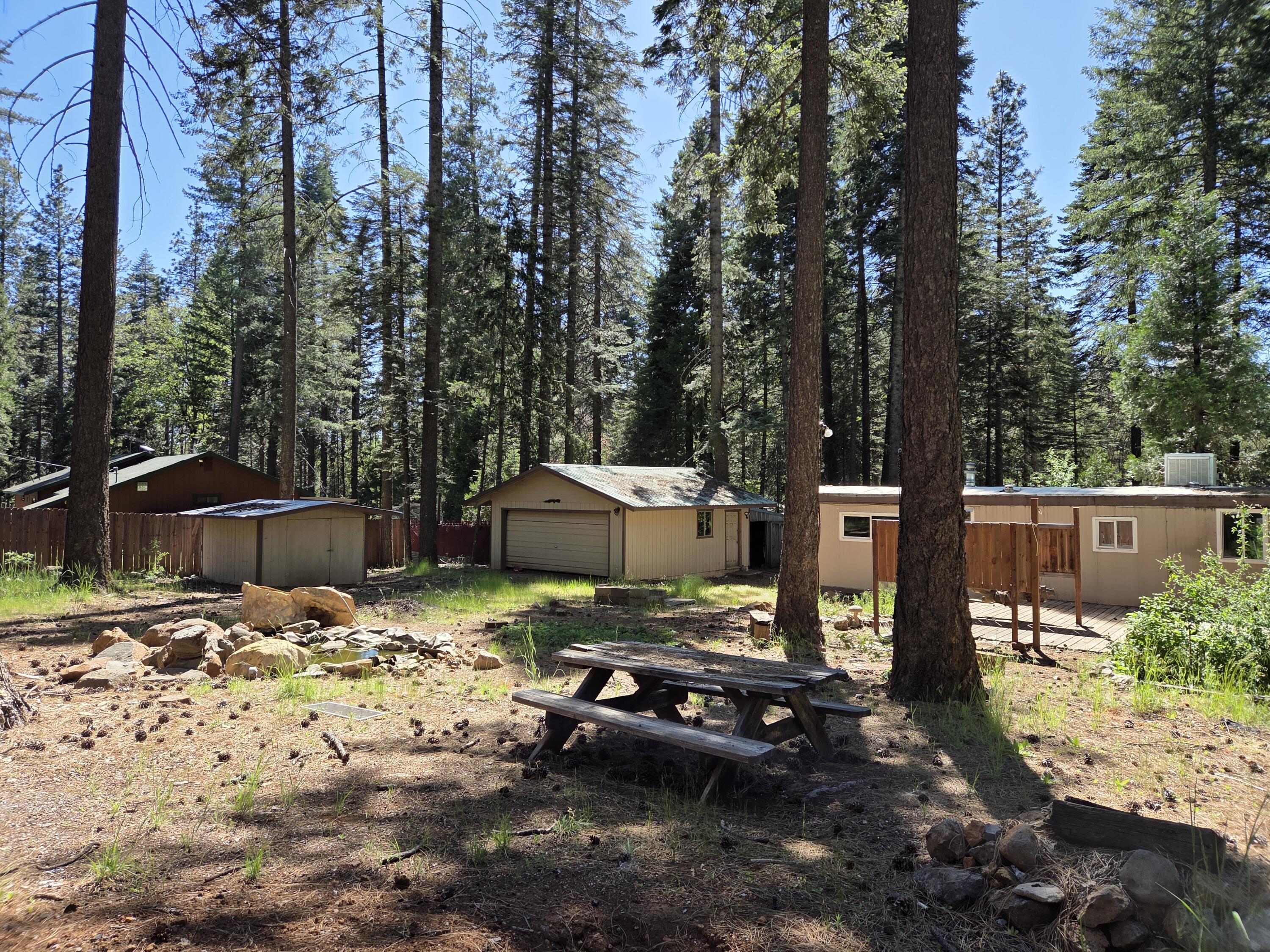 33433 Plateau Pines Road Shingletown, CA 96088 - Photo 7 of 25 BACK YARD V2