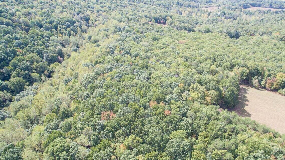 3 Jamestown Road Rocky Mount, VA 24151 - Photo 1 of 9 1