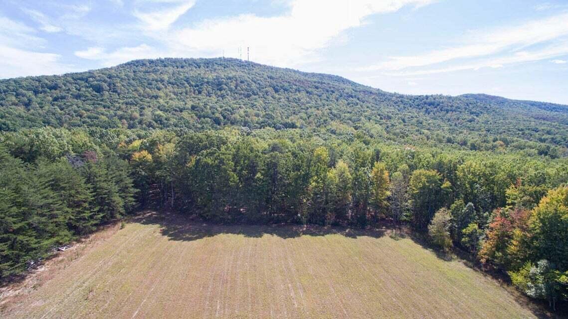 3 Jamestown Road Rocky Mount, VA 24151 - Photo 3 of 9 3