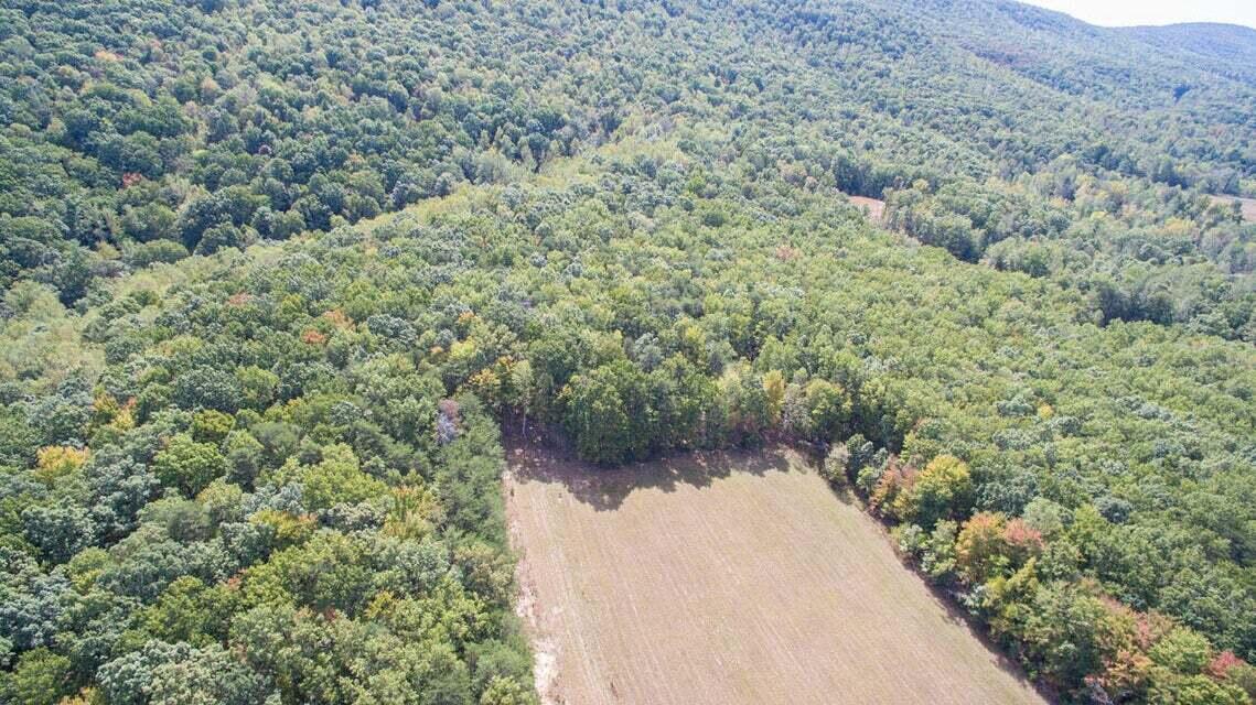 3 Jamestown Road Rocky Mount, VA 24151 - Photo 4 of 9 4