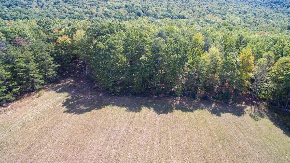 3 Jamestown Road Rocky Mount, VA 24151 - Photo 5 of 9 5