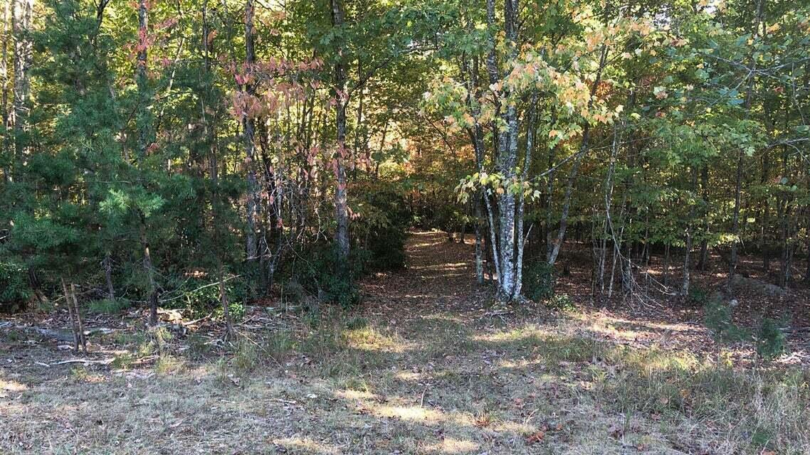 3 Jamestown Road Rocky Mount, VA 24151 - Photo 6 of 9 6