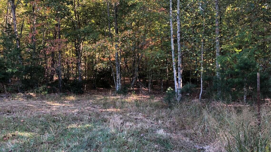 3 Jamestown Road Rocky Mount, VA 24151 - Photo 7 of 9 7