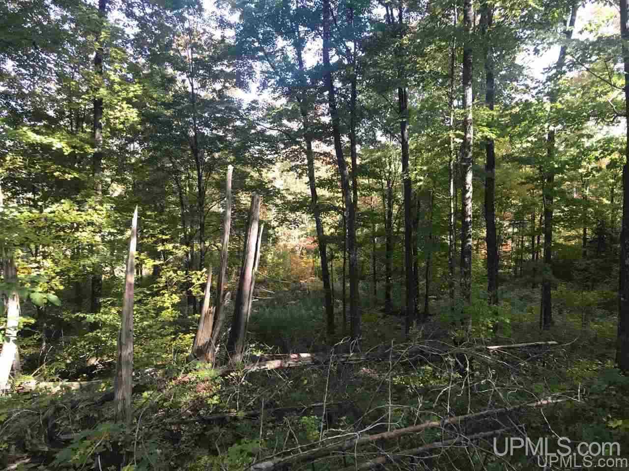 Tbd Ford River Road Arnold, MI 49831 - Photo 2 of 22