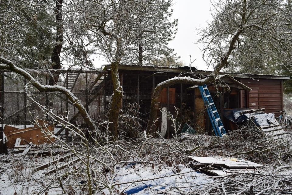316 West Brooks Road Medical Lake, WA 99022 - Photo 41 of 41 Gallery Image 41
