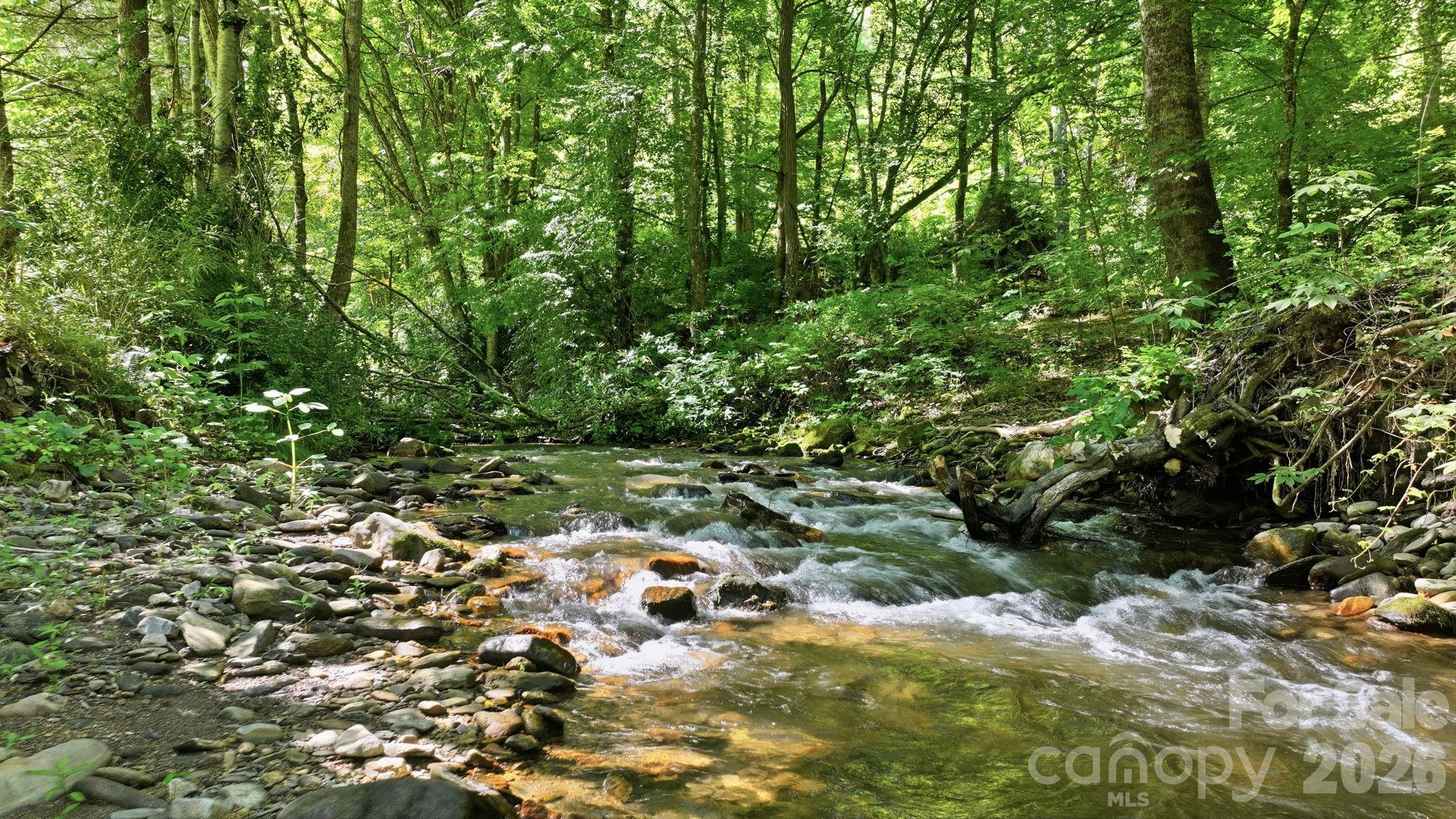 Tbd Dark Ridge Road Sylva, NC 28779 - Photo 11 of 17