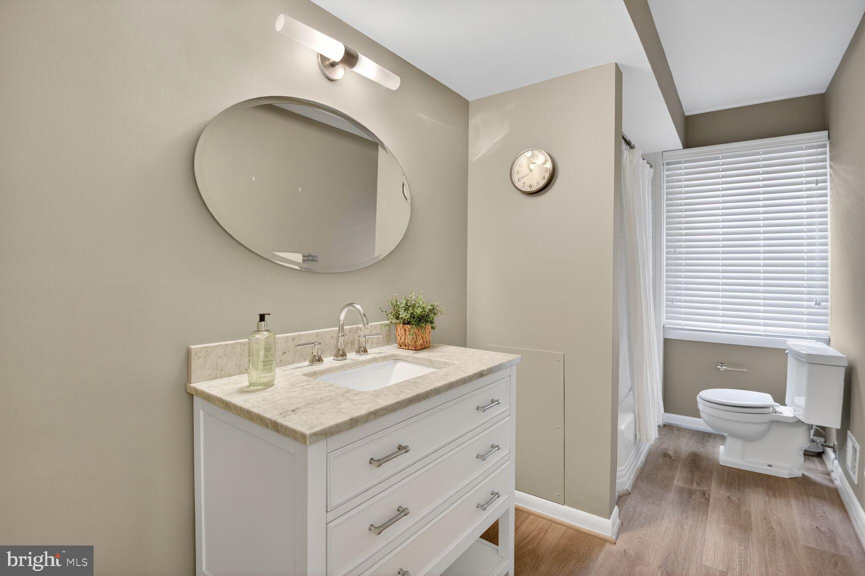 6104 Robinwood Road Bethesda, MD 20817 - Photo 34 of 45 a bathroom with a toilet a sink and a mirror