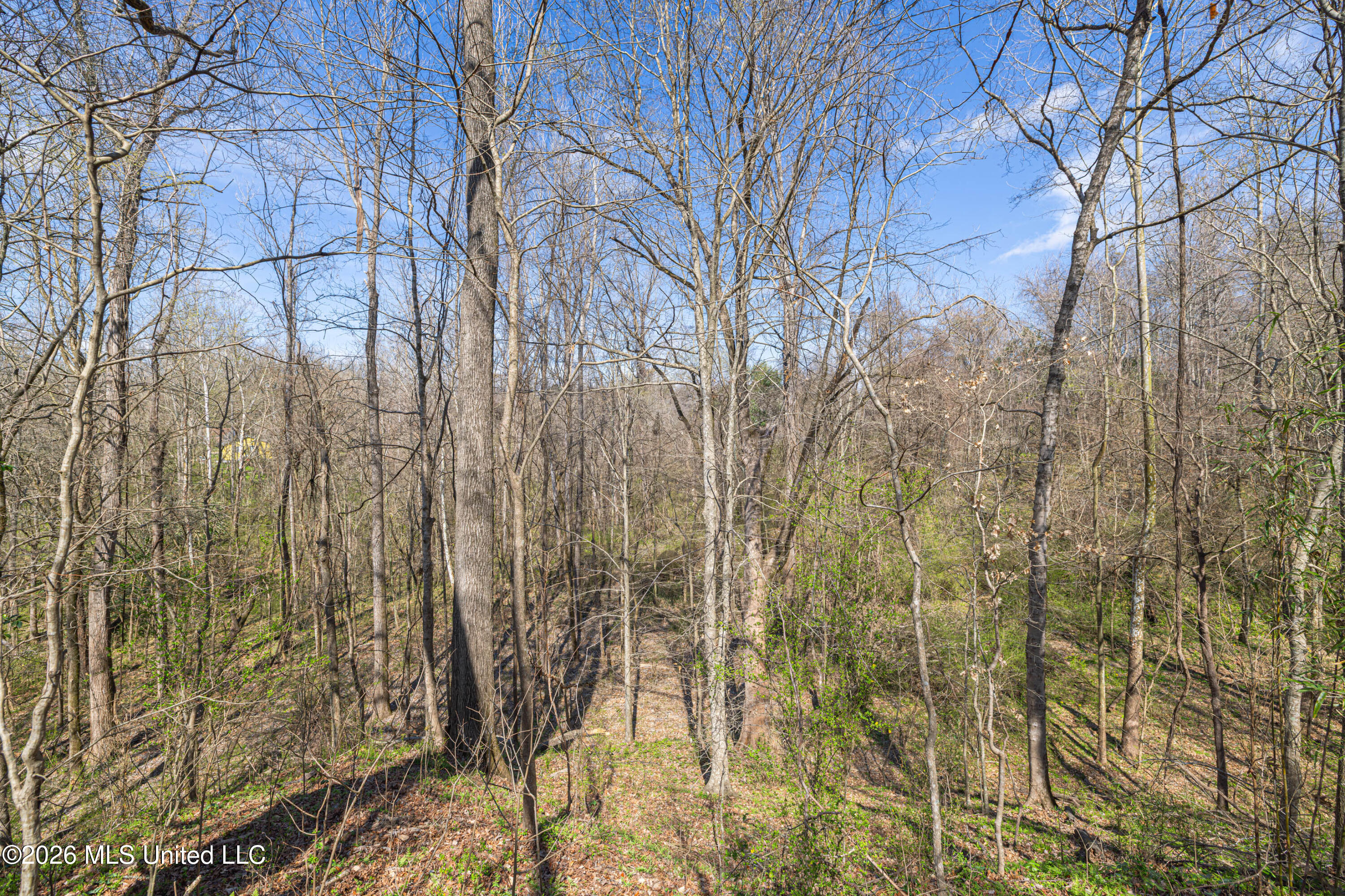 0 Reed Wilson Road Vicksburg, MS 39183 - Photo 3 of 11 1R4A5461