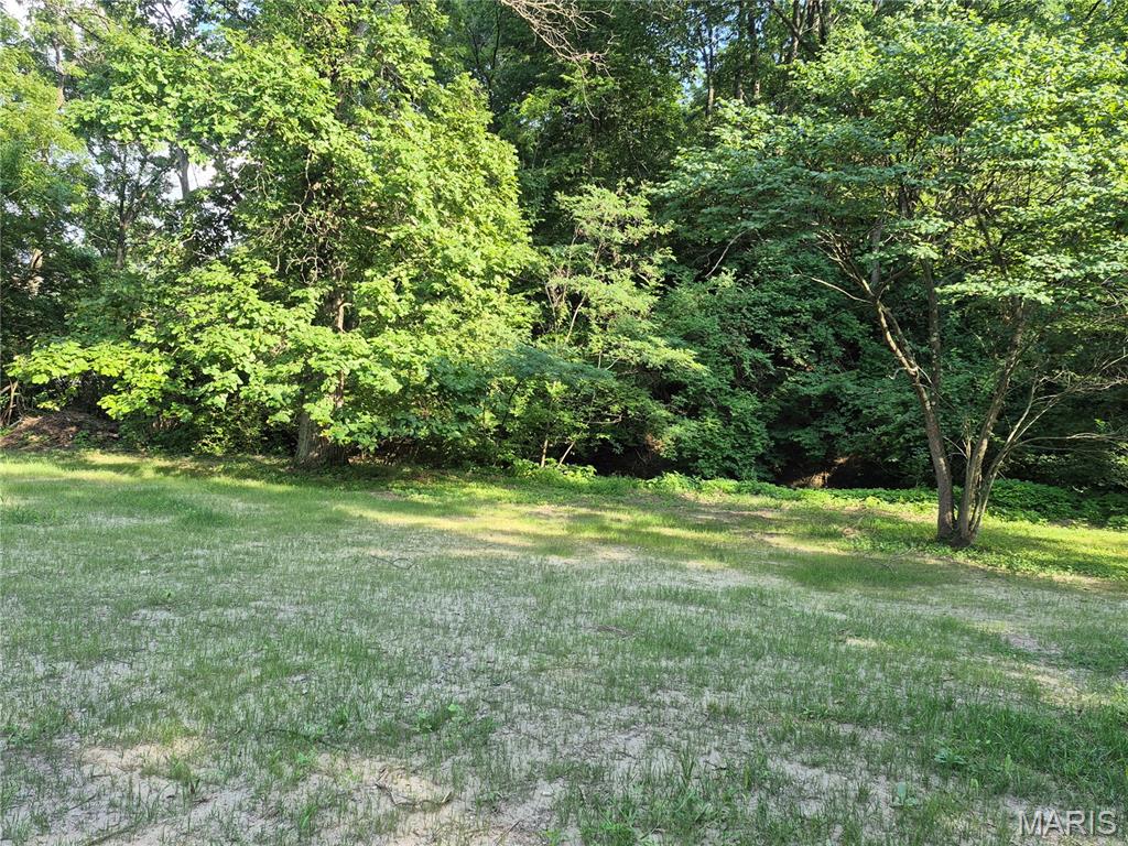 125 Anna Avenue Godfrey, IL 62035 - Photo 34 of 42 Gallery Image 34