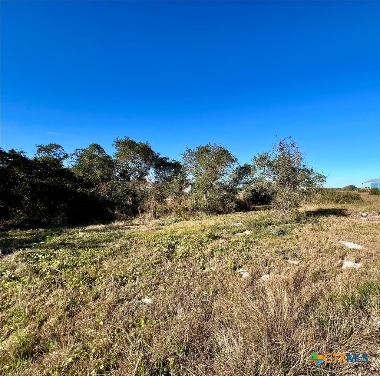 Lot 2 Boca Grande Loop Port O'Connor, TX 77982 - Photo 4 of 17 a view of a large trees with mountains in the background