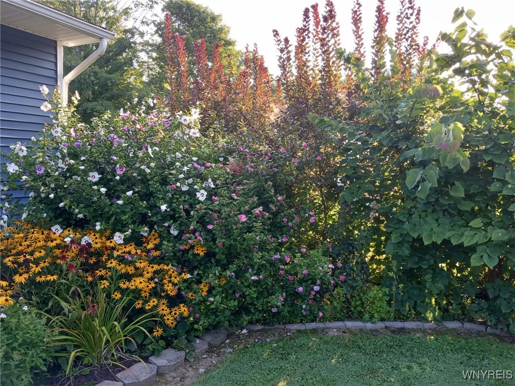 1730 Billington Road Elma, NY 14052 - Photo 29 of 30