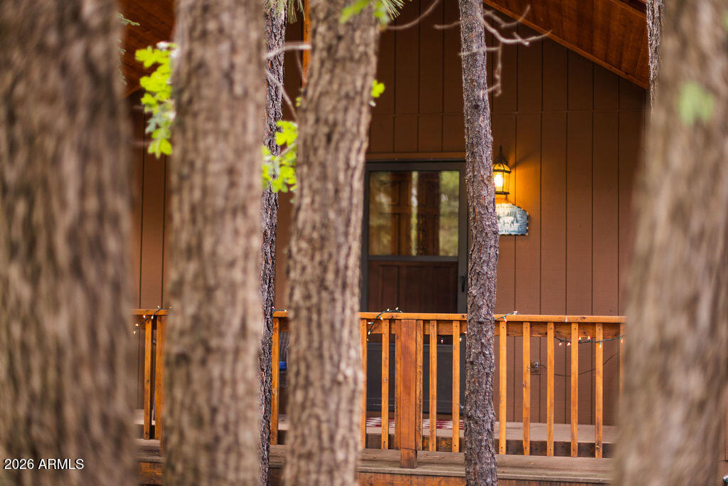 3845 Turkey Track Road Pinetop, AZ 85935 - Photo 32 of 41 IMG_9491