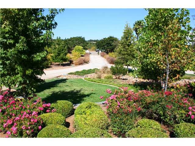 1035 Sleeping Indian Road Oceanside, CA 92057 - Photo 19 of 25 This the view from the front door looking up towards the gate. Lush landscaping, stunning rose garden, and producing orchard creates a truly private park-like estate.
